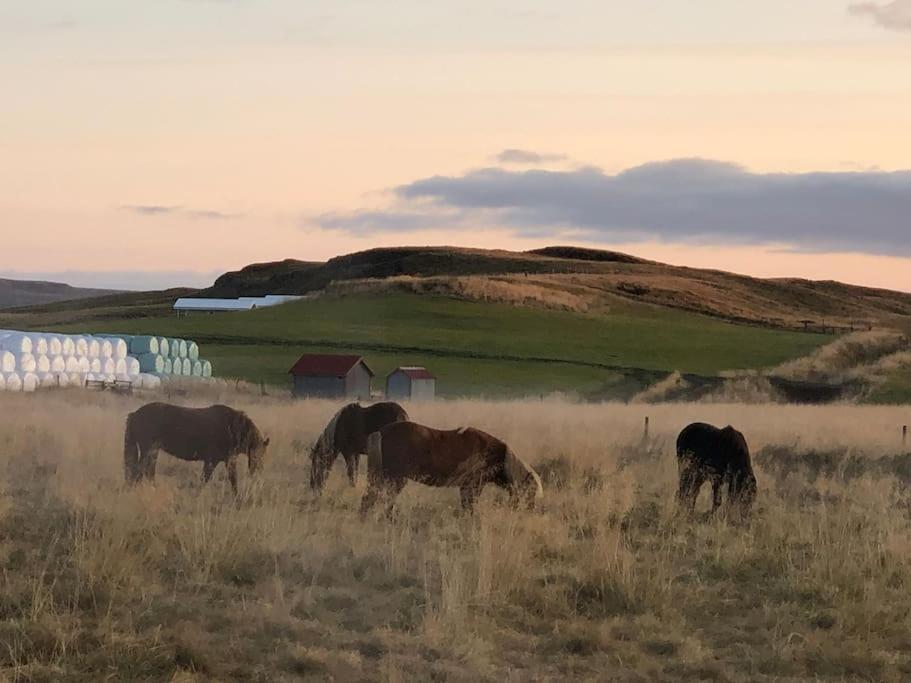 Eyvik Cottages - Private Hot Tub! Selfoss Luaran gambar